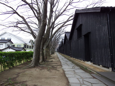 DSCF5379