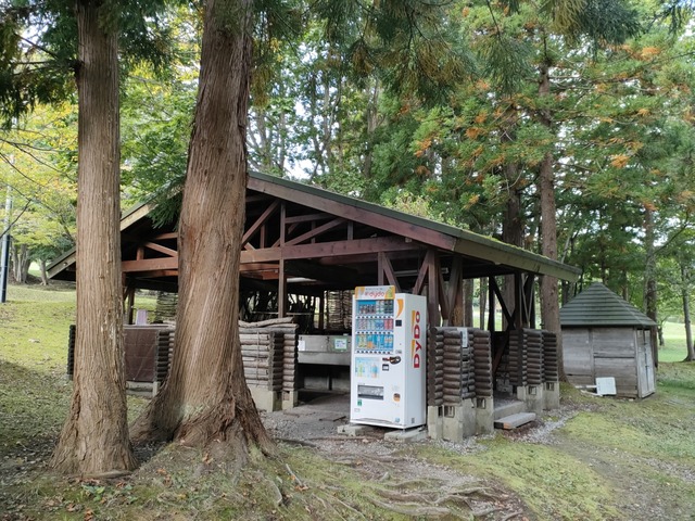 IMG20260926073204