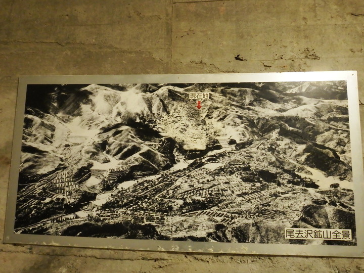DSCF8834