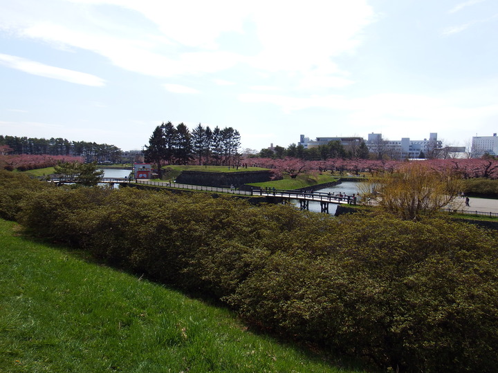 DSCF8027