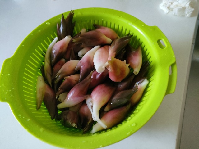 IMG20260904113758