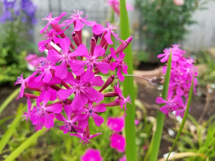 20190618_163944