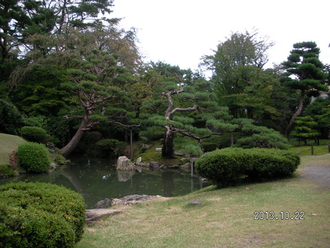 RIMG2639