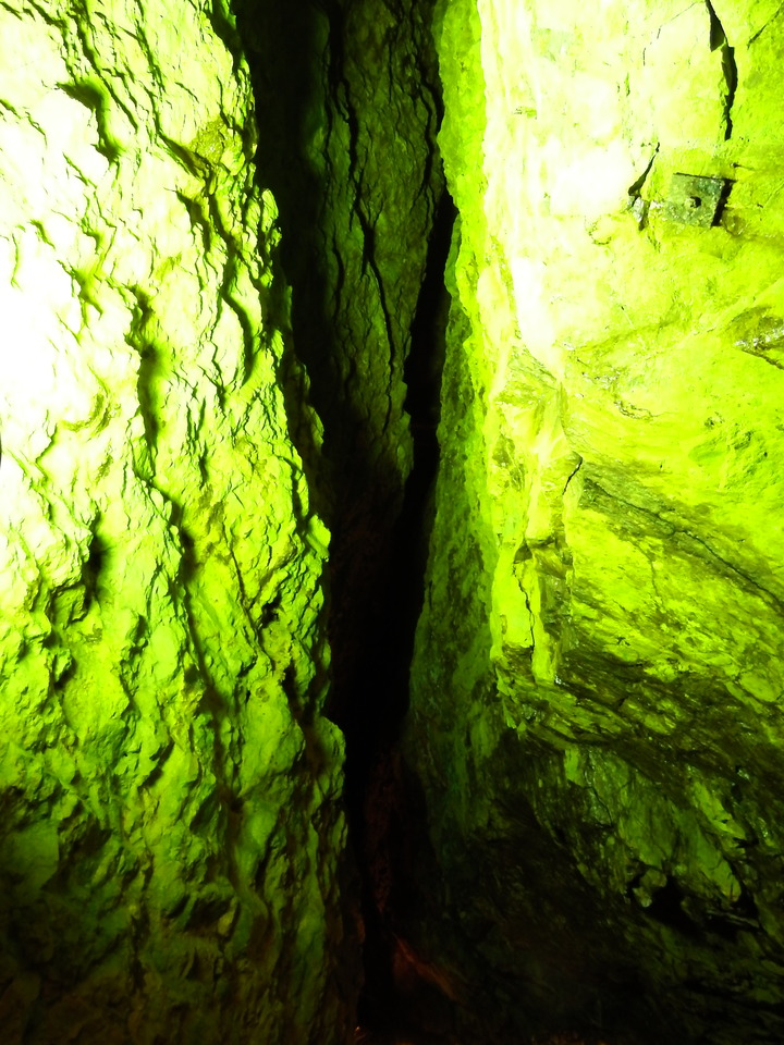 DSCF8824