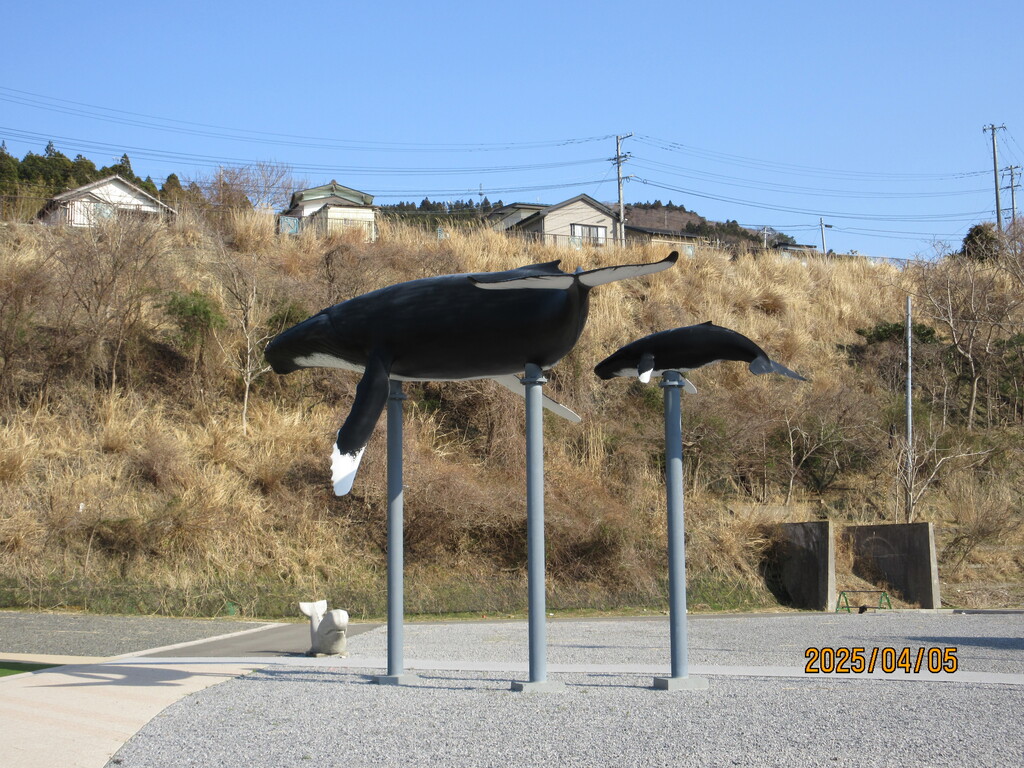 春の旅6～初めて捕鯨船を見学しました❗️石巻市鮎川港 : 函館