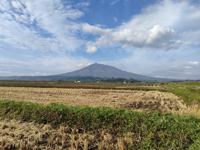 IMG20221017080631
