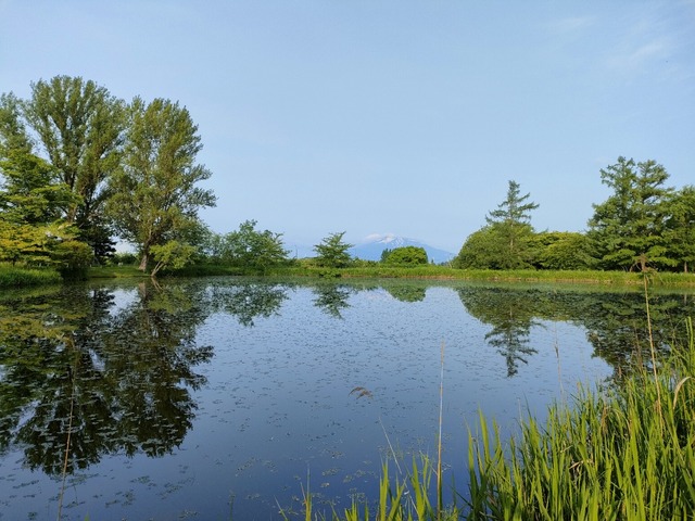 IMG20230527061628
