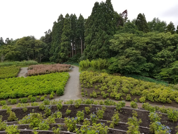 20190714_154024