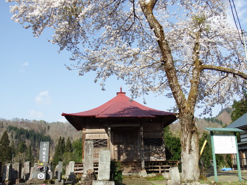 DSCF5009
