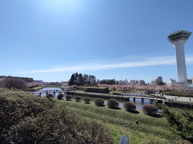 IMG20240422095055