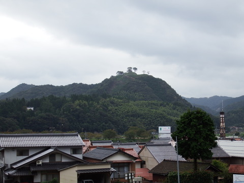 DSCF6677