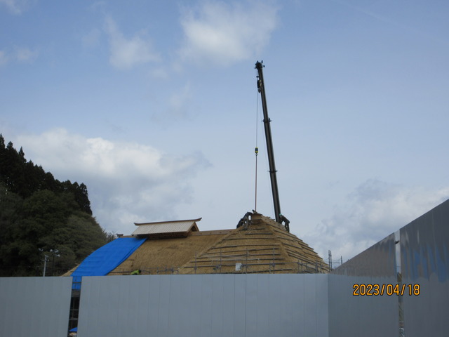 IMG_1935