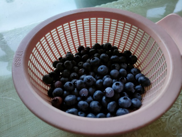 IMG20220802161726