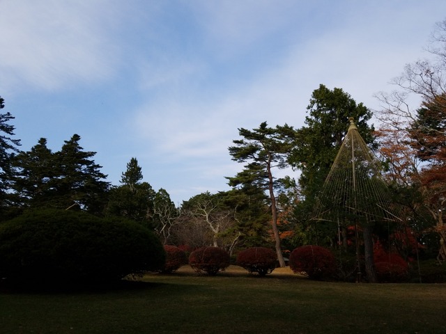 IMG_20201118_100537