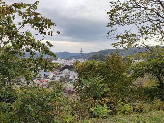IMG20231020140018