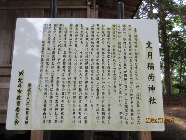 IMG_2952
