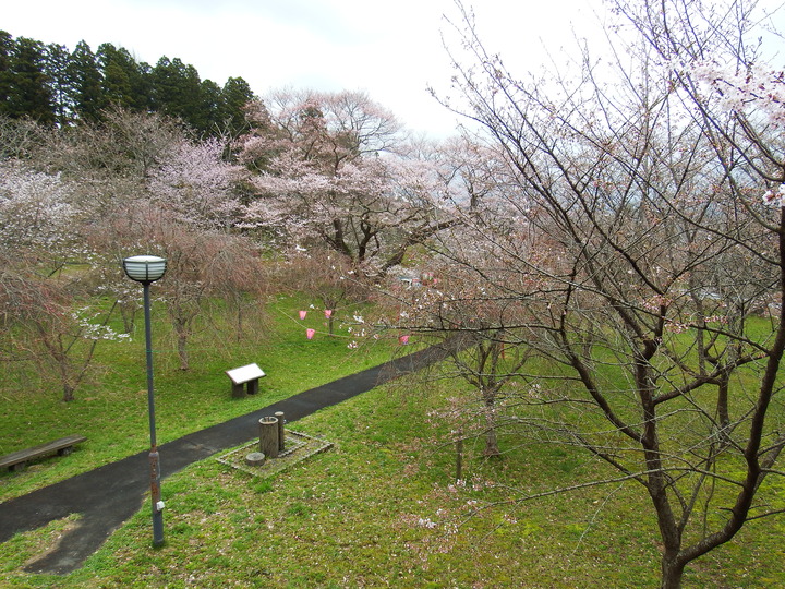 DSCF7943