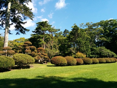 [画像:2e098122-s.jpg]