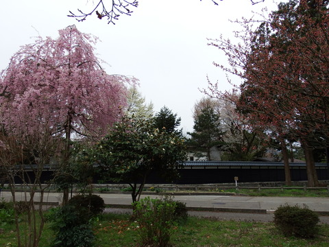 DSCF5248