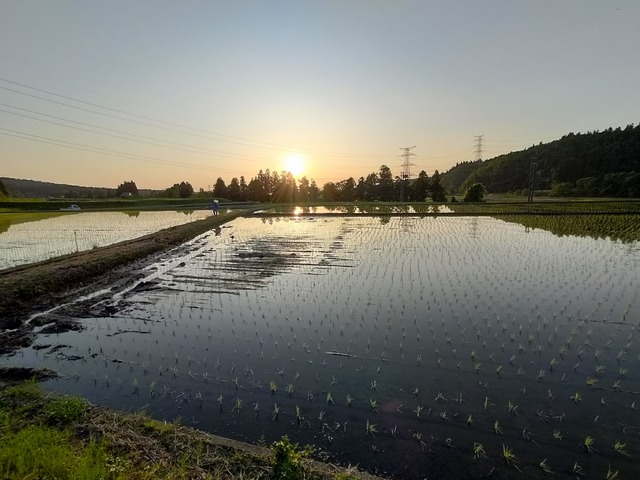 IMG20240517181944