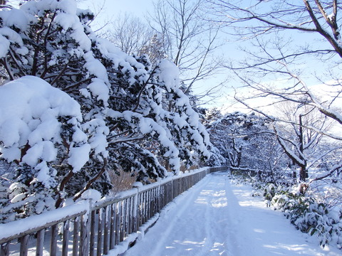 DSCF7182