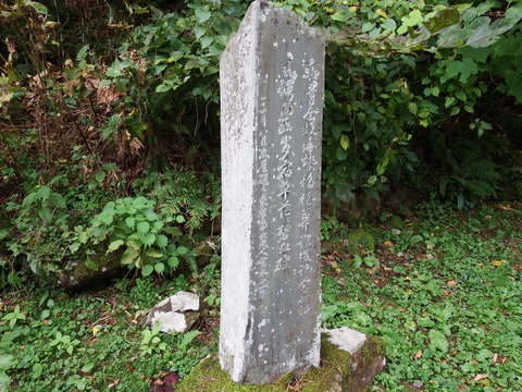DSCF7422