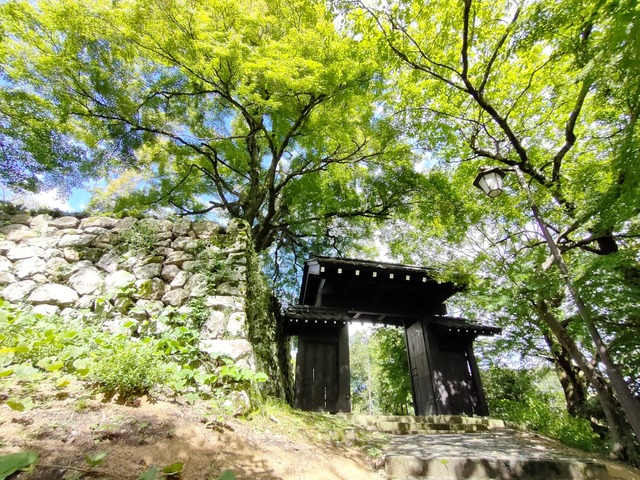 IMG20241009121306