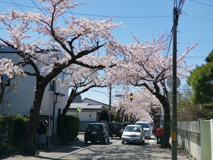 20190428_102853