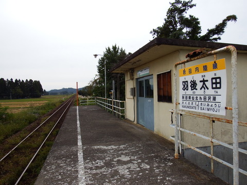 DSCF6572