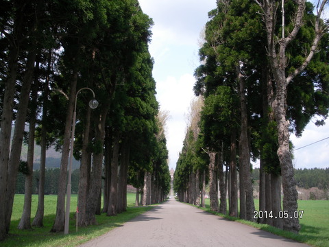 RIMG3538