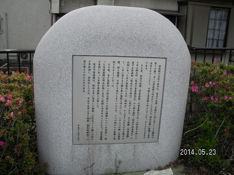 RIMG3748