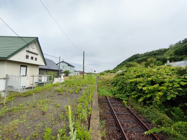 IMG20250715064556