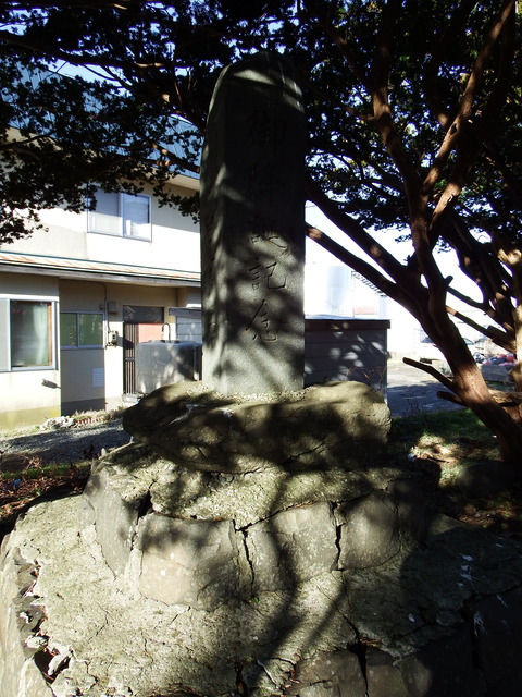DSCF3534