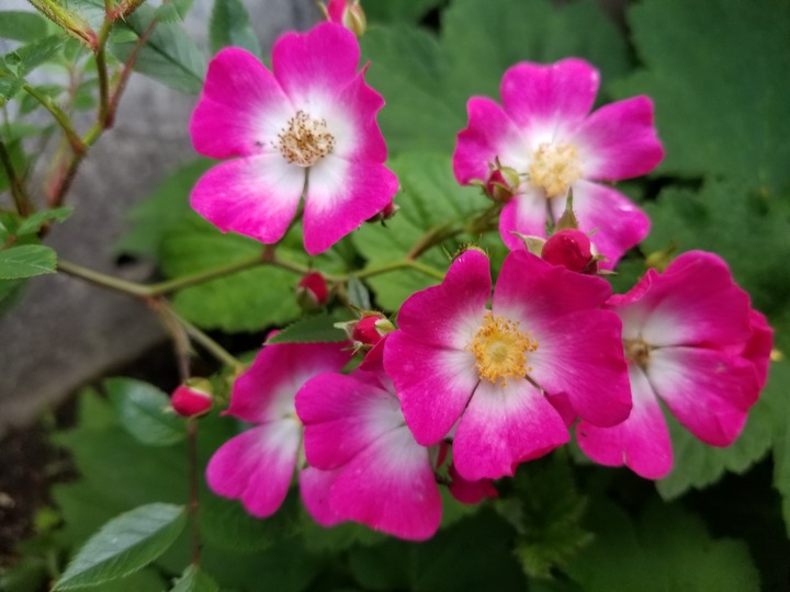 20190618_163810