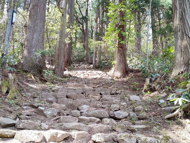 IMG20230422110510