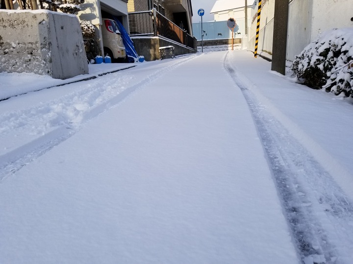20190314_065049