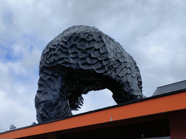 IMG20260610084311