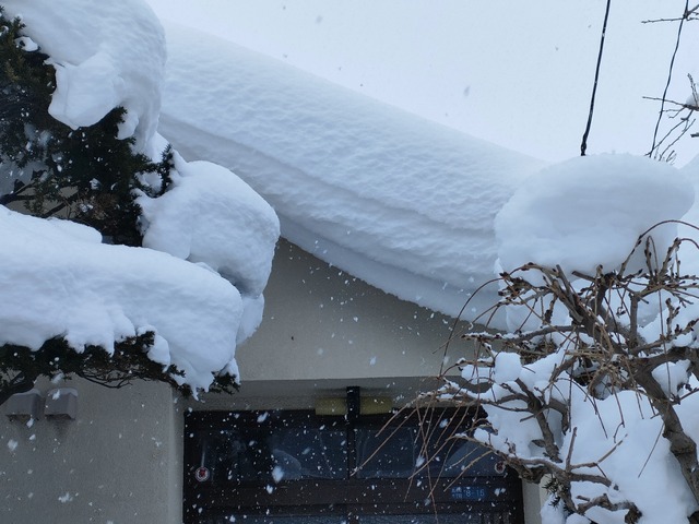 IMG20221220085359