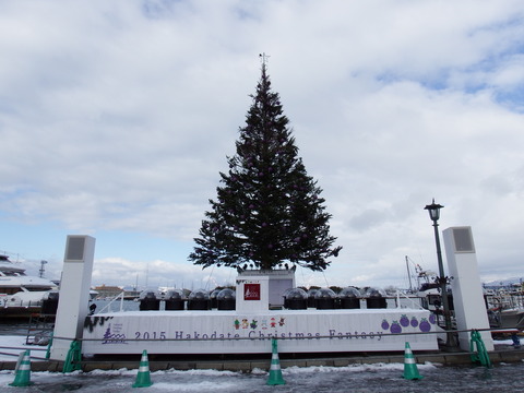 DSCF3378