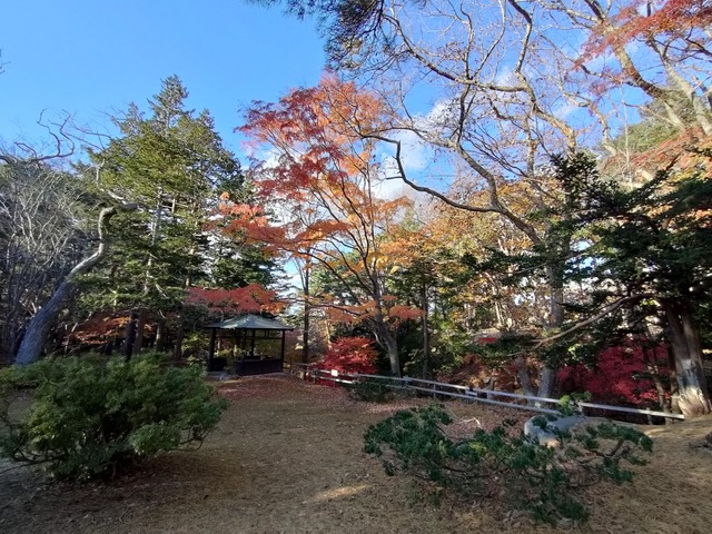 IMG20231115142256