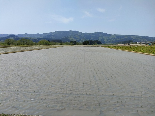 IMG20230517115932