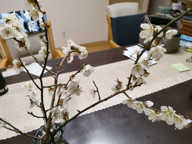 IMG20240416194110