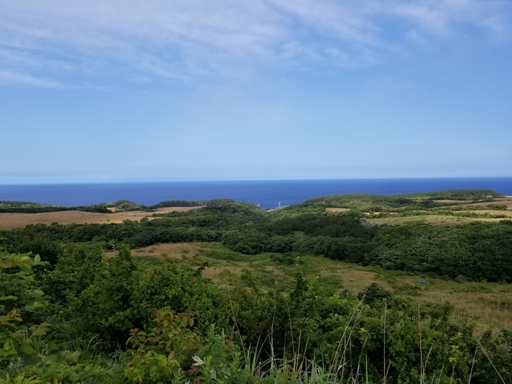20190721_072526