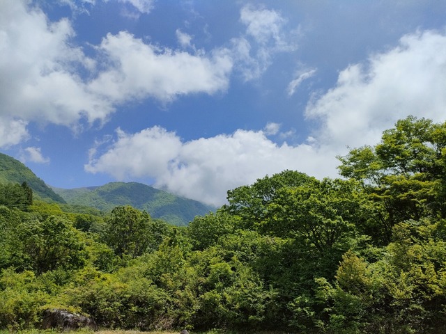 IMG20230521114903