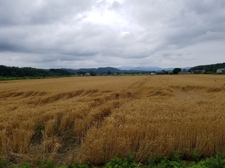 20190719_114157