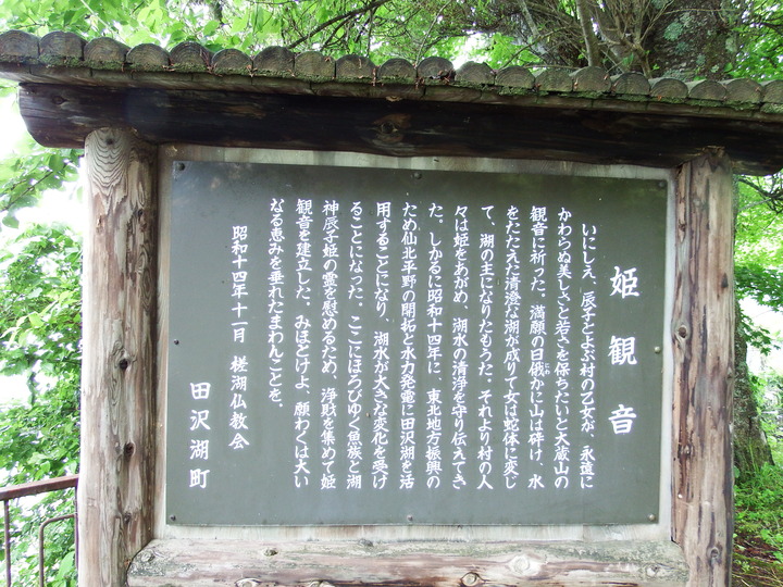 DSCF8800