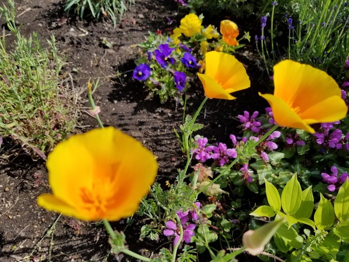20190619_082400