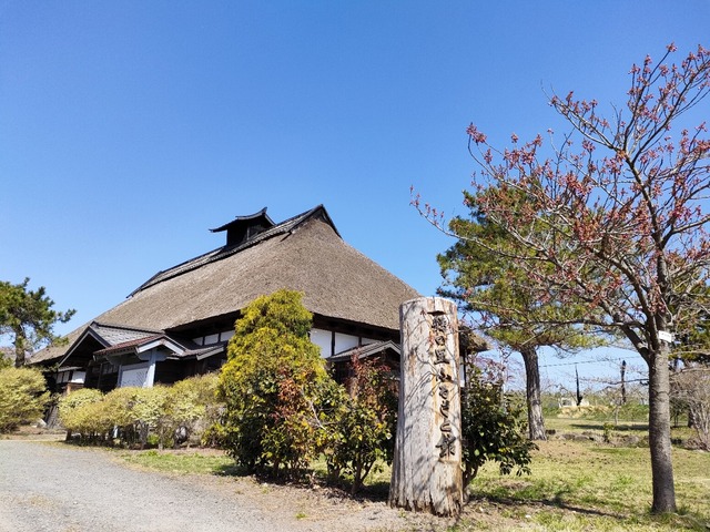 IMG20230423090004