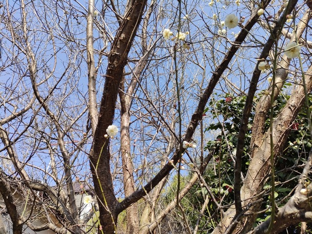 IMG20240415141103