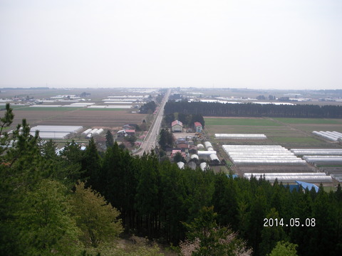 RIMG3625